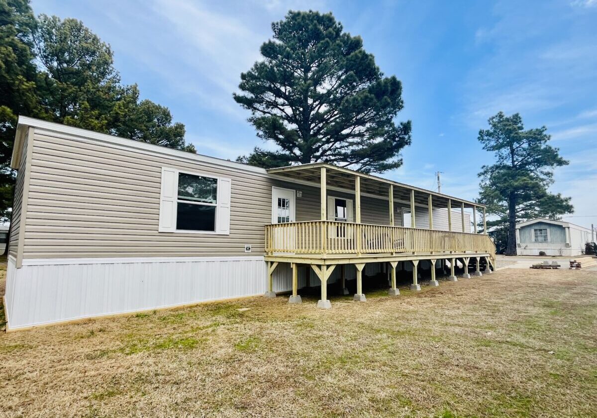 IMG_2786 (1) IMG_2786 (1)